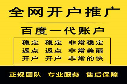 案例分析：百度竞价托管助力行业龙头